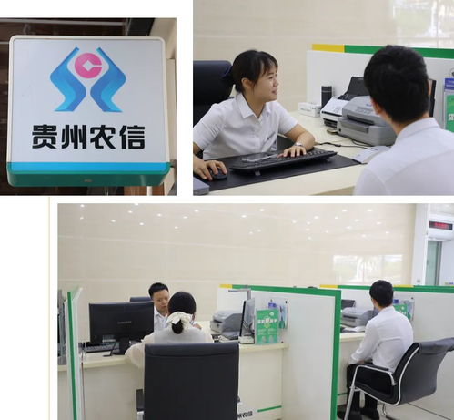 金融活水潤萬山系列報道之一 信息技術(shù)咨詢服務助力萬山破解養(yǎng)殖融資難題