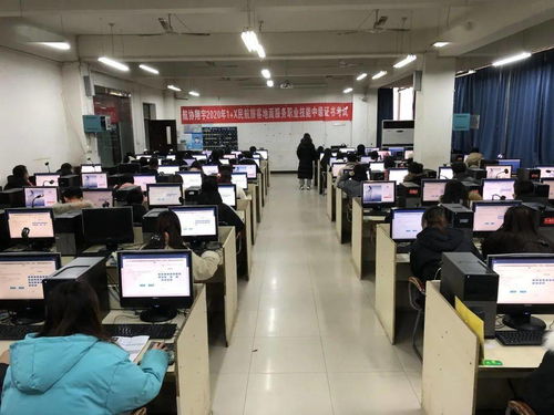 西航職院航管學院成功舉辦1+X民航旅客地面服務職業(yè)技能等級中級證書考試信息技術(shù)咨詢服務活動